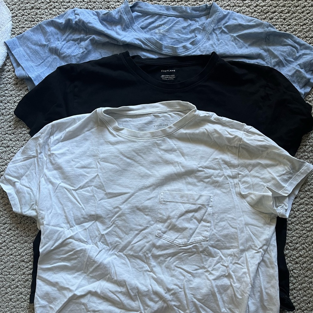 Everlane Organic Cotton Box Cut Tee, set of 3